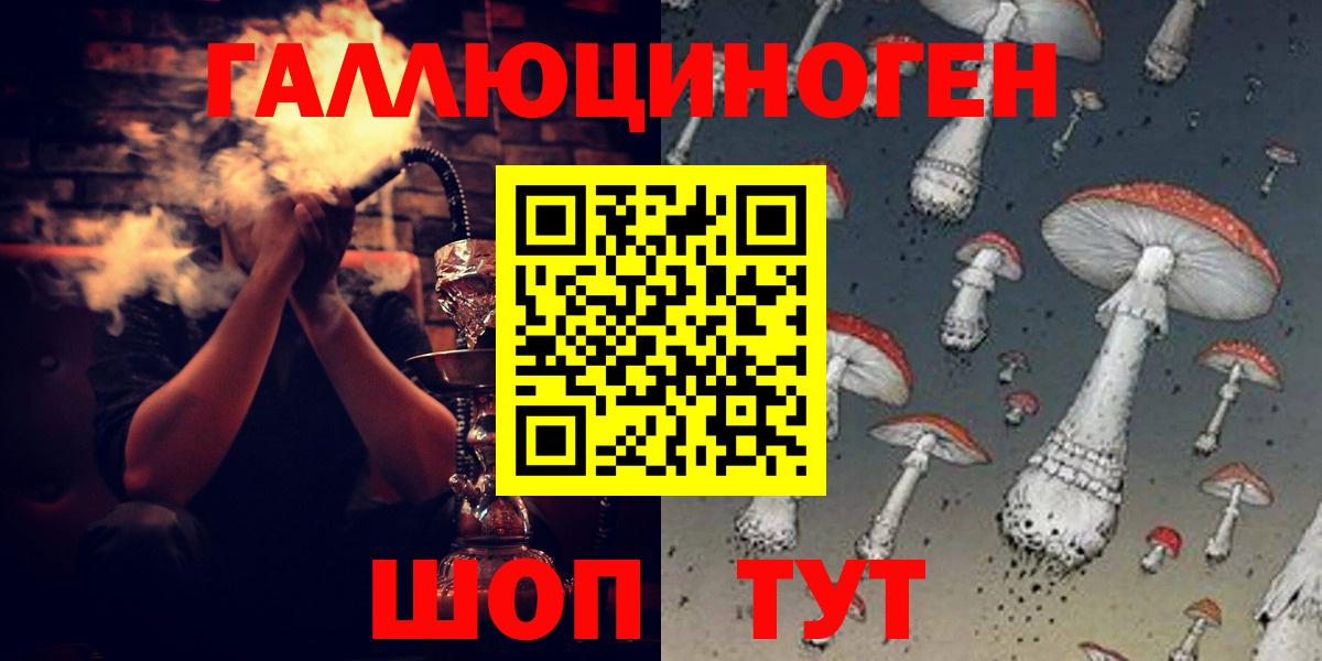 Галлюциногенные грибы Psilocybe Курчатов