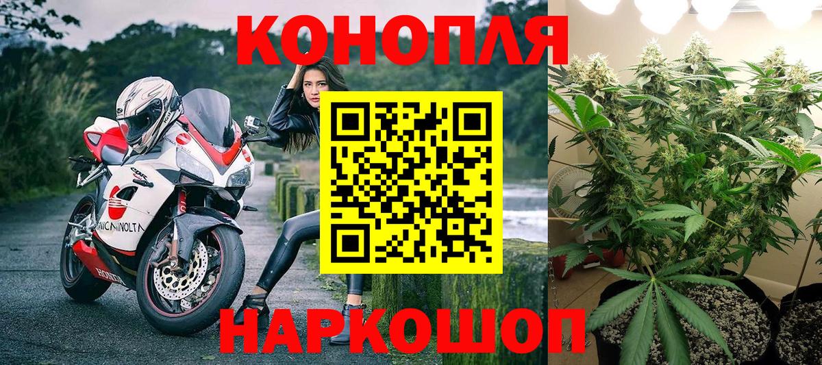 Курчатов  Каннабис конопля  Канабис THC 21%  Вход с VPN 